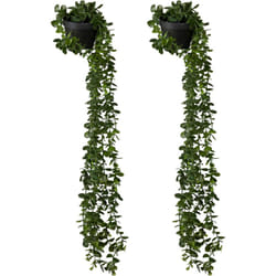 Relaxdays - Piante Finte Pendenti, Set da 2 Piantine Artificiali in Plastica, Vasi Sospesi Interni, Fake Plant, Verde Nero