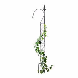 Questo traliccio per rampicanti realizzato in metallo robusto offre il supporto necessario alle piante rampicanti per crescer ...
