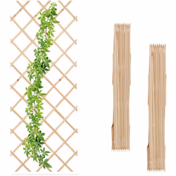 I tralicci per piante in un set da 3 sono ideali per creare pareti alte di piante rampicanti sui muri di casa. Coltiva rose r ...