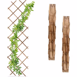 I tralicci per piante in un set da 3 sono ideali per creare pareti alte di piante rampicanti sui muri di casa. Coltiva rose r ...
