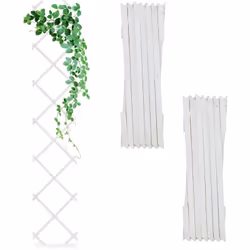 I tralicci per piante in un set da 3 sono ideali per creare pareti alte di piante rampicanti sui muri di casa. Coltiva rose r ...