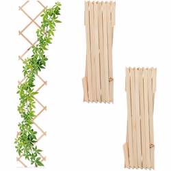 I tralicci per piante in un set da 3 sono ideali per creare pareti alte di piante rampicanti sui muri di casa. Coltiva rose r ...