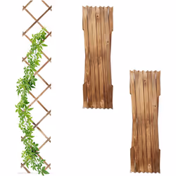 I tralicci per piante in un set da 3 sono ideali per creare pareti alte di piante rampicanti sui muri di casa. Coltiva rose r ...