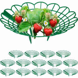Questi anelli di sostegno per piante sono in particolare utili per il processo di maturazione delle fragole, assicurano condi ...