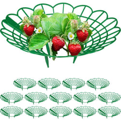 Relaxdays - Set da 15 Anelli di Supporto per Fragole, Sostegno in Plastica per Piantine da Orto, Rete Anti Muffa, Verde