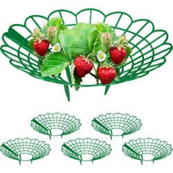 Relaxdays - Set da 6 Anelli di Supporto per Fragole, Sostegno in Plastica per Piantine da Orto, Rete Anti Muffa, Verde