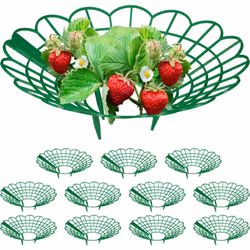 Questi anelli di sostegno per piante sono in particolare utili per il processo di maturazione delle fragole, assicurano condi ...