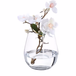 Vuoi mettere in mostra il tuo bouquet con stile e sobrietà? Allora questo semplice vaso è quello che fa per te. Il vaso da fi ...
