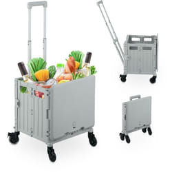 Carrello per Spesa Pieghevole, regge 35 kg, Manico Telescopico e Coperchio, Carrellino Portaspesa, Grigio - Relaxdays