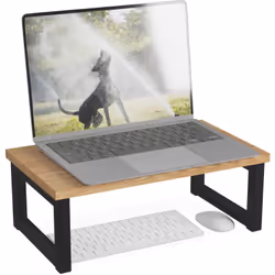 Questo supporto per monitor mette ordine sulla scrivania e allo stesso tempo aiuta ad alleviare la tensione del collo. Grazie ...