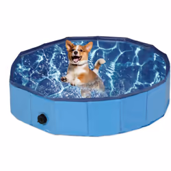 La piscina per cani offre al tuo amico a quattro zampe divertimento durante il bagnetto e anche un modo per rinfrescarsi nell ...