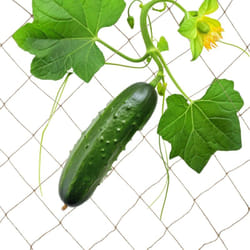 Relaxdays - Rete per Piante Rampicanti, Sostegno per Pomodori e Cetrioli, 2x3m, Supporto Ortaggi, Biodegradabile, Naturale