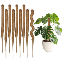Relaxdays - Set da 10 Bastoncini in Fibre di Cocco, Canne Flessibili, Supporto per Piante Rampicanti, h: 60 cm, Naturale