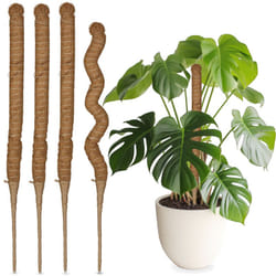 Relaxdays - Set da 5 Bastoncini in Fibre di Cocco, Canne Flessibili, Supporto per Piante Rampicanti, h: 60 cm, Naturale