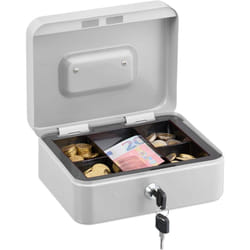 Relaxdays - Cassetta con Serratura, Porta Soldi con Inserto Rimovibile, 5 Scomparti, in Ferro, 8,5 x 20 x 17 cm, Bianco