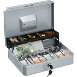 Relaxdays - Cassetta di Sicurezza per Soldi, con Scomparto per Monete e 4 Vani per Banconote, 8,5x30,5x24,5 cm, Argentato