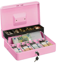 Relaxdays - Cassetta di Sicurezza per Soldi, con Scomparto per Monete e 4 Vani per Banconote, 8,5x30,5x24,5 cm, Rosa