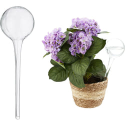 Set da 2 Sfere per Irrigazione, Dosatori di Piante, Irrigatori per Ufficio, Vacanza, ø 9 cm Vetro, Trasparente - Relaxdays