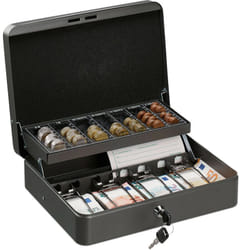 Relaxdays - Cassetta di Sicurezza per Soldi, con Scomparto per Monete e 4 Vani per Banconote, 8,5x30,5x24,5 cm, Grigio