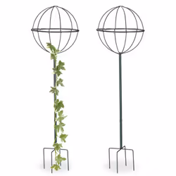 Non c'è niente di più bello che rilassarsi in estate nel proprio giardino e godere dei colori della natura. Decora quindi la ...