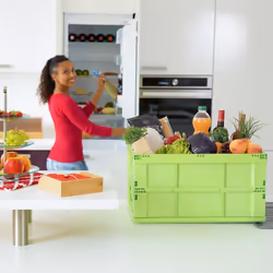 Relaxdays 4052025952419 scatola di conservazione Armadietto portaoggetti Rettangolare Plastica Verde