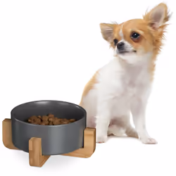 Questa ciotola rialzata per cani, non solo sarà un pratico accessorio per la salute fisica del tuo amico fidato, ma porterà a ...
