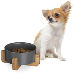 Relaxdays - Ciotola Rialzata per Cani, Alzatina in Bambù con Scodella in Ceramica Cibo o Acqua, 850 ml, 9x20x20 cm, Grigio