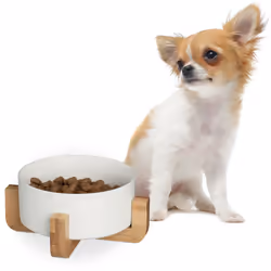 Questa ciotola rialzata per cani, non solo sarà un pratico accessorio per la salute fisica del tuo amico fidato, ma porterà a ...