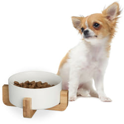 Relaxdays - Ciotola Rialzata per Cani, Alzatina in Bambù con Scodella in Ceramica Cibo o Acqua, 850 ml, 9x20x20 cm Bianco