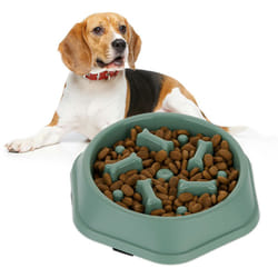 Relaxdays Ciotola Anti-Ingozzamento per Cani, 500 ml, Lenta Assunzione del Cibo, Adatta alla Lavastoviglie, Verde
