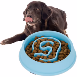 Il tuo cane è un gran goloso e divora il cibo in tempo zero? Una ciotola anti-ingozzamento può essere in questo caso di grand ...