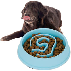 Relaxdays - Ciotola Anti-Ingozzamento per Cani, 650 ml, Lenta Assunzione del Cibo, Adatta alla Lavastoviglie, Blu