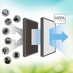 Filtro hepa e ai carboni attivi (capacità di filtrazione del 99,97%) per AirgoClean® 15 e