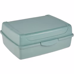 Descrizione keeeper Contenitore per alimenti freschi con chiusura a scatto, 17 x 13 x 7 cm, 1 l, Luca Midi, Verde Nordico