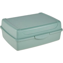 Contenitore per Alimenti con Chiusura a Scatto, 17 x 13 x 7 cm, 1 l, Luca Midi, Nordic Green (Verde) - Keeeper