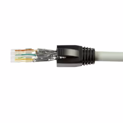 LogiLink MP0071 cavo di collegamento RJ-45 Trasparente - Vista aggiuntiva 8
