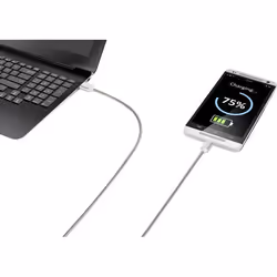 Renkforce RF-4888671 cavo USB USB 2.0 1 m USB A USB C Acciaio inox - Vista aggiuntiva 5