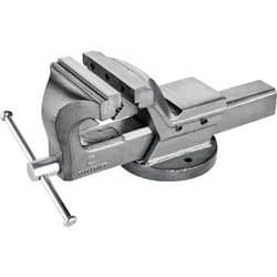 Toolcraft - TO-5342445 Morsa a vite TO-5342445 Larghezza becchi/ganasce: 100 mm Apertura (max.): 125 mm