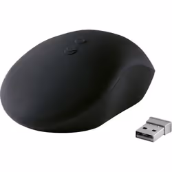 Renkforce RF-4284826 mouse Ambidestro RF Wireless 1300 DPI