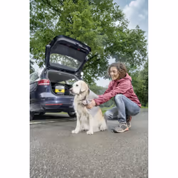 Kärcher OC 3 Pet idropulitrice Compatta Batteria 120 l/h Nero, Giallo - Vista aggiuntiva 4