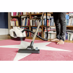 Kärcher DS 6 Plus 2 L A cilindro Secco 650 W Senza sacchetto