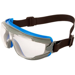 3M - Goggle Gear 500 GG501NSGAF-BLU Occhiali a mascherina antiappannante Blu, Grigio en 166 din 166