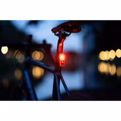 XLC 2500218910 torcia Nero, Rosso Luce lampeggiante per bicicletta LED