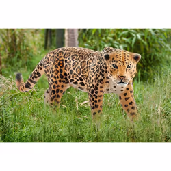 schleich WILD LIFE 14769 action figure giocattolo - Vista aggiuntiva 2