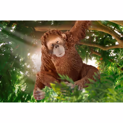 schleich WILD LIFE 14775 action figure giocattolo