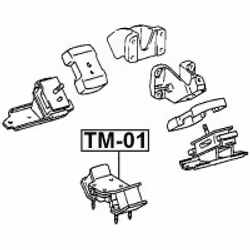 FEBEST TM-01 non classificato