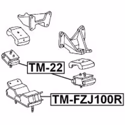 FEBEST TM-22 non classificato