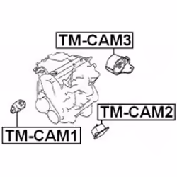 FEBEST TM-CAM2 non classificato