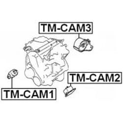 FEBEST TM-CAM1 non classificato