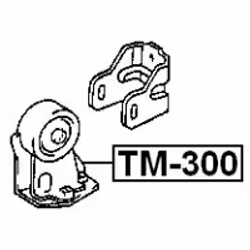 FEBEST TM-300 non classificato